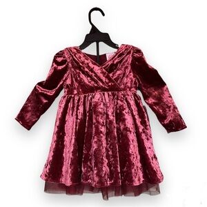 Wonder Nation Velvet Dress in Deep Red